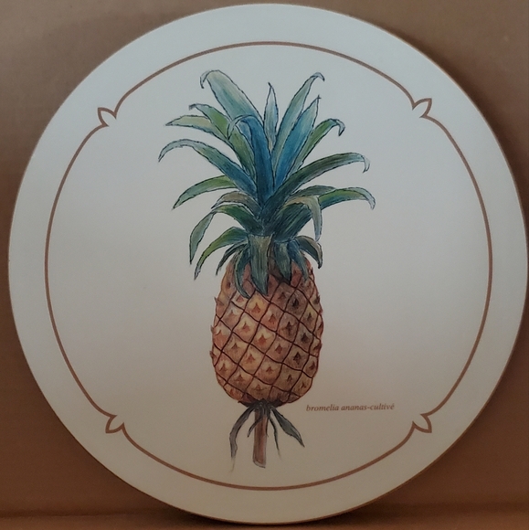 Vintage Pineapple Trivet Excellent condition - Picture 1 of 7